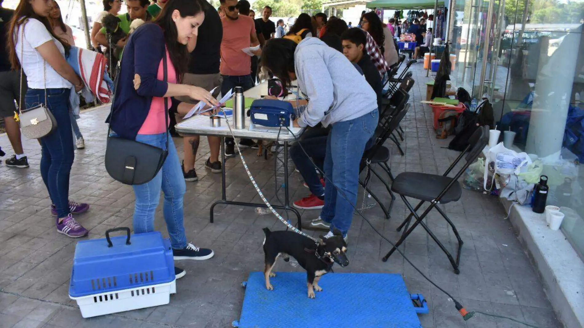 Servicios Públicos